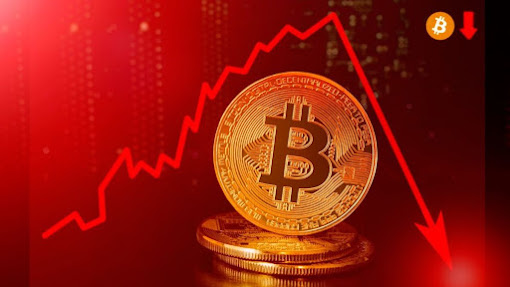 අද අප්‍රේල් 07 වනදා Cryptocurrency මිල ගණන් : Bitcoin, Ethereum ඇතුළු වෙළදපල සියල්ල පහත වැටේ.