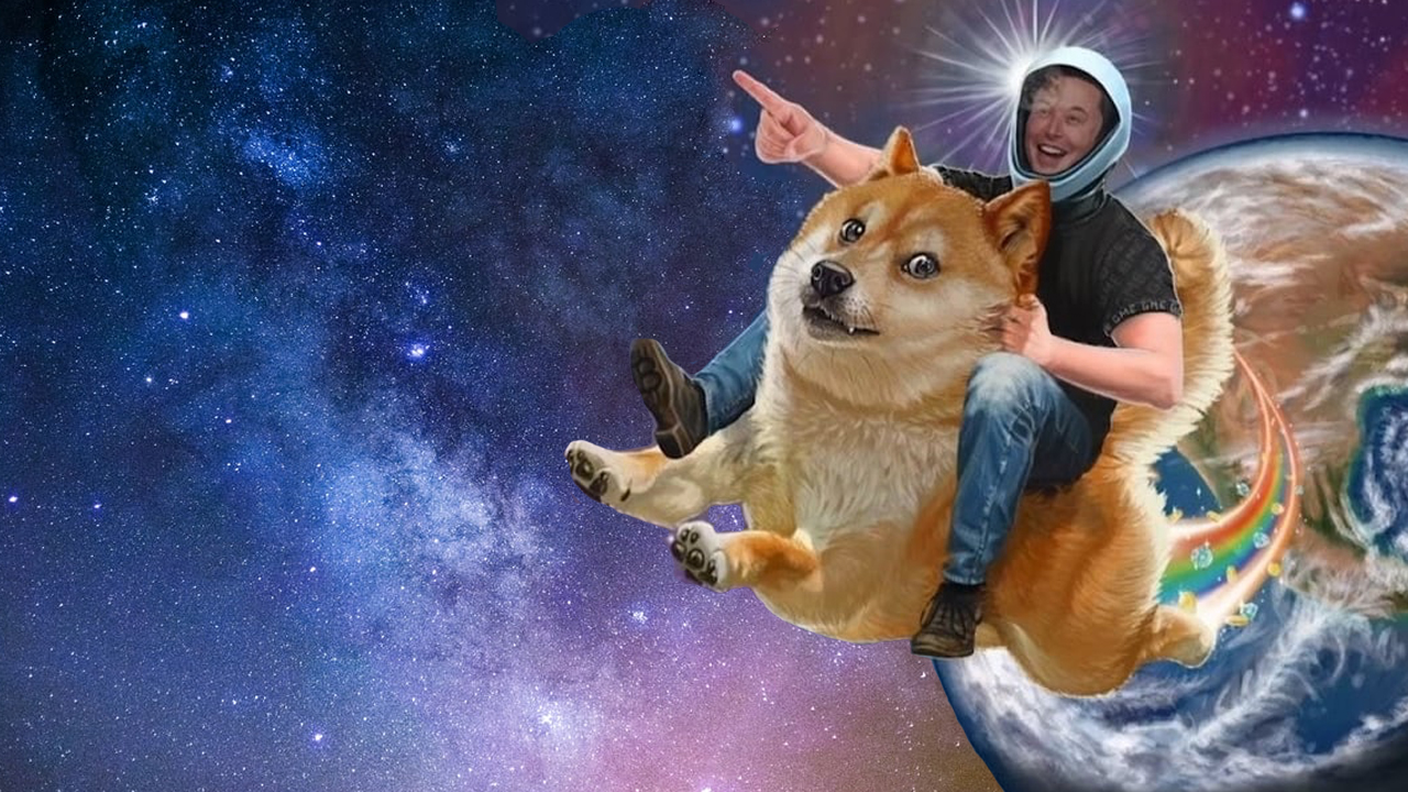 Elon Musk විසින් Tesla විසින් DOGE වෙළඳ භාණ්ඩ සඳහා පිළිගන්නා බව තහවුරු කිරීමෙන් පසු Dogecoin 25% කින් ඉහලයයි.