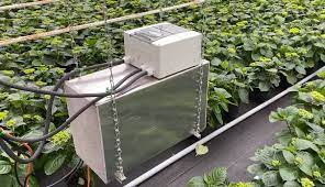 Bitcoin miner නෙදර්ලන්තයේ හරිතාගාර උණුසුම් කරයි.
