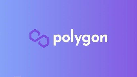 Polygon මත විමධ්‍යගත යෙදුම් (DApps) 37,000 ට ළඟා වූ අතර, මේ වසරේ 400% වැඩිවීමක් සනිටුහන් කරයි.