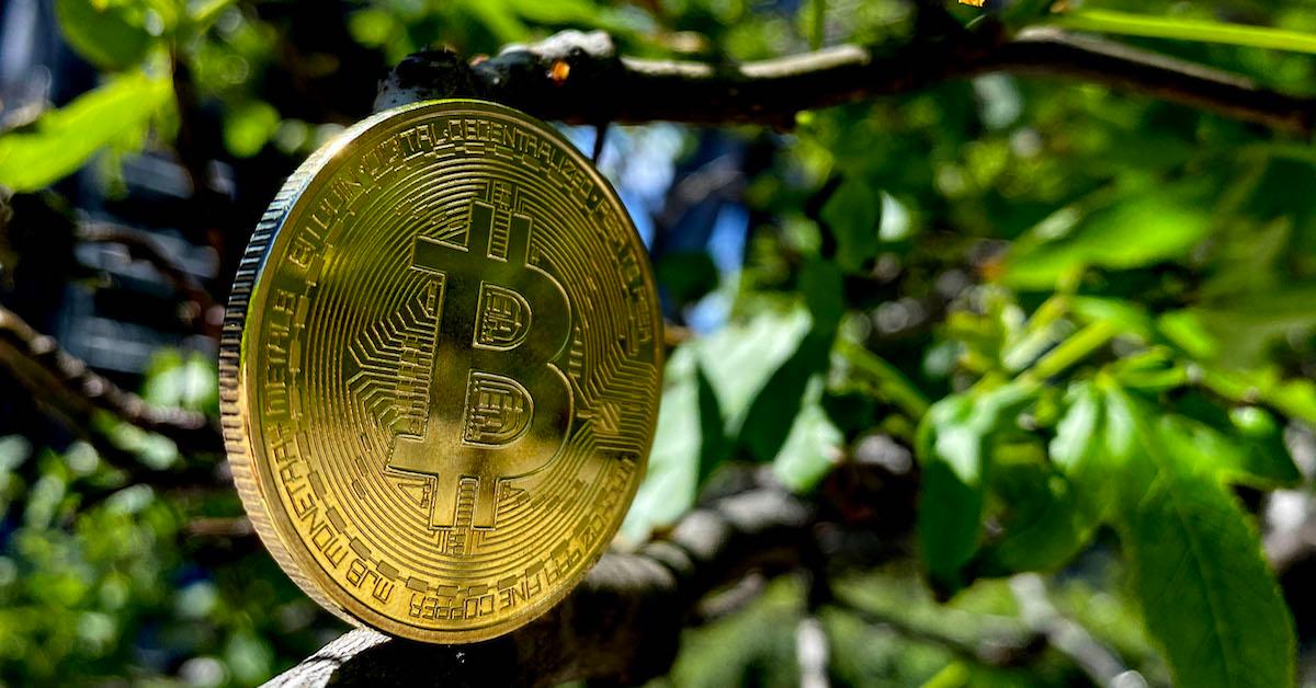 Bitcoin පතල් කැණීමේ පාරිසරික බලපෑම් ගැන අපි නොමඟ යනවාද? Slush Pool හි CMO Kristian Csepcsar පැහැදිලි කරයි.