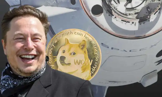 Tesla ගෙවීම් අනුගමනය කරමින්  SpaceX වෙළඳ භාණ්ඩ ගෙවීම් සඳහා DOGE  පිළිගැනීමට.