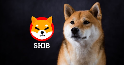 Memecoin Shiba Inu විසින්  SHIB burning portal දියත් කරයි.