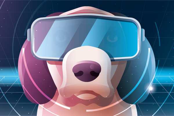 Metaverse හි ඇවිදන් යන්න: Virtual  NFT සුරතල් සතුන් ජනප්‍රිය වේ.