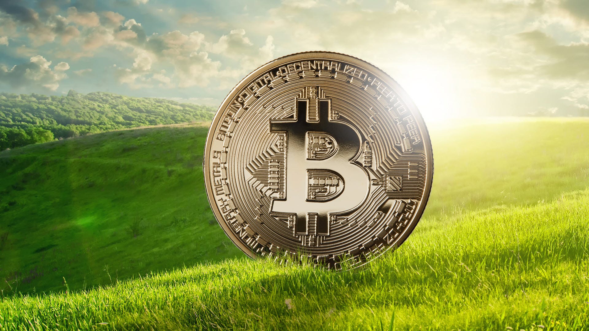තිරසාර Bitcoin miner දැව වියළීම සඳහා අපතේ යන තාපය භාවිතා කරයි.
