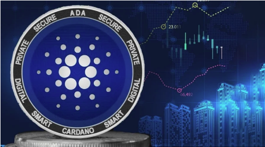 Cardano හිමියන්ගෙන් 67%ක් පාඩු පිට සිටින අතර බොහෝ අය මිලදී ගත්තේ වසර 1කට අඩු කාලයකට පෙරය.