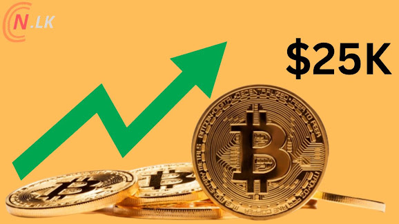 2023 වසරේ Bitcoin හි නව මිල ඩොලර් 25K දක්වා ඉහළ යයි.