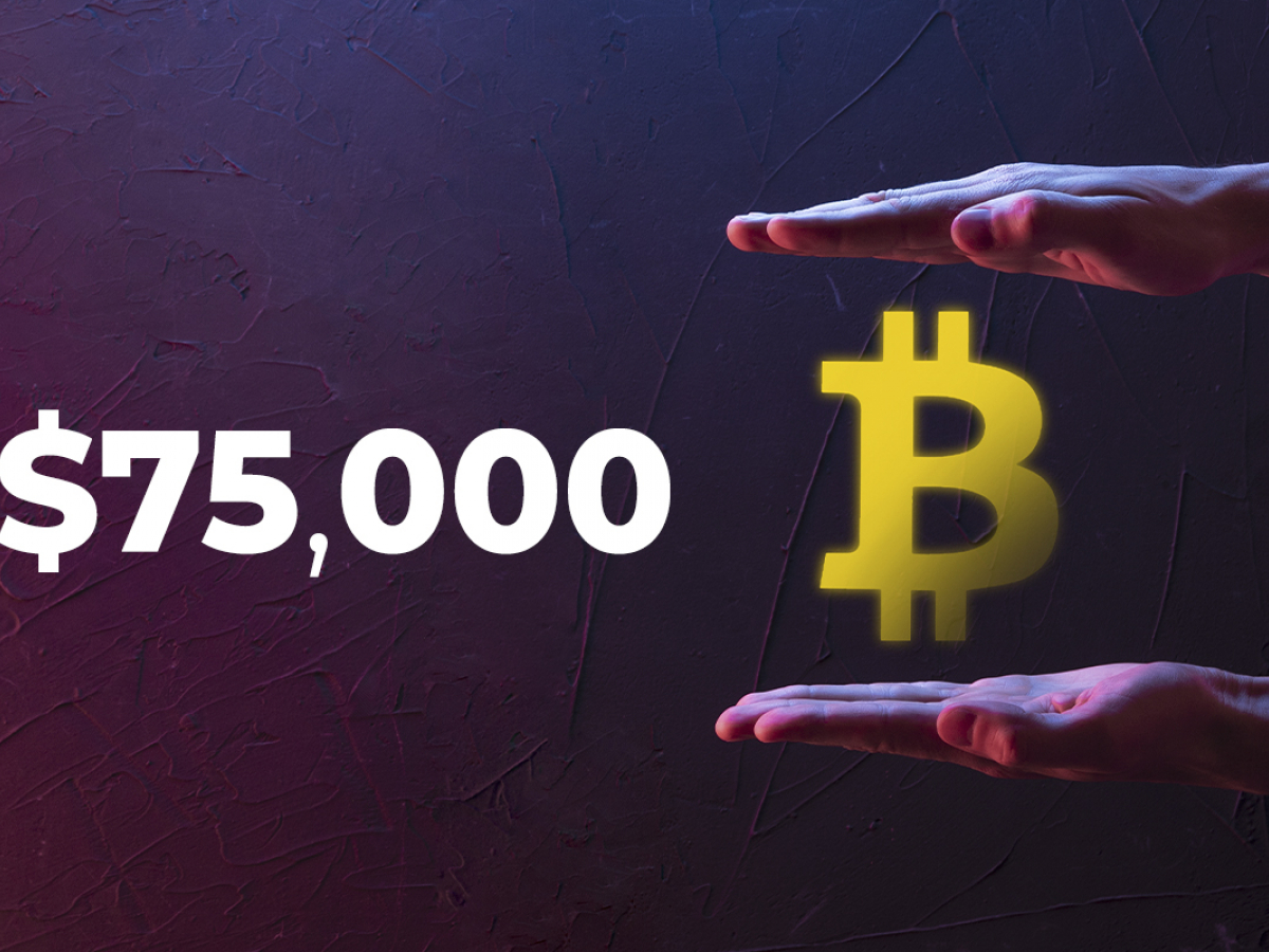 ආයතනික ආයෝජනය Bitcoin ඩොලර් 75,000 දක්වා ඉහළ නංවනු ඇති බව SEBA ප්‍රධාන විධායක නිලධාරී පවසයි.